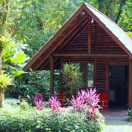 Arenal Oasis Eco Lodge & Wildlife Refuge ラ・フォルトゥナ エクステリア 写真