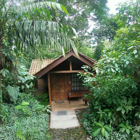 Arenal Oasis Eco Lodge & Wildlife Refuge ラ・フォルトゥナ エクステリア 写真