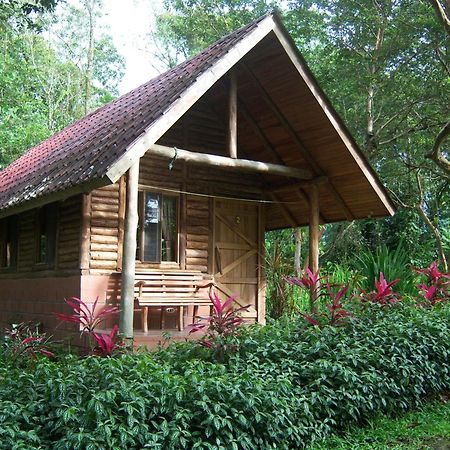 Arenal Oasis Eco Lodge & Wildlife Refuge ラ・フォルトゥナ エクステリア 写真