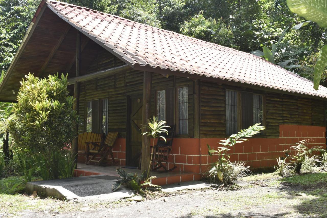 Arenal Oasis Eco Lodge & Wildlife Refuge ラ・フォルトゥナ エクステリア 写真