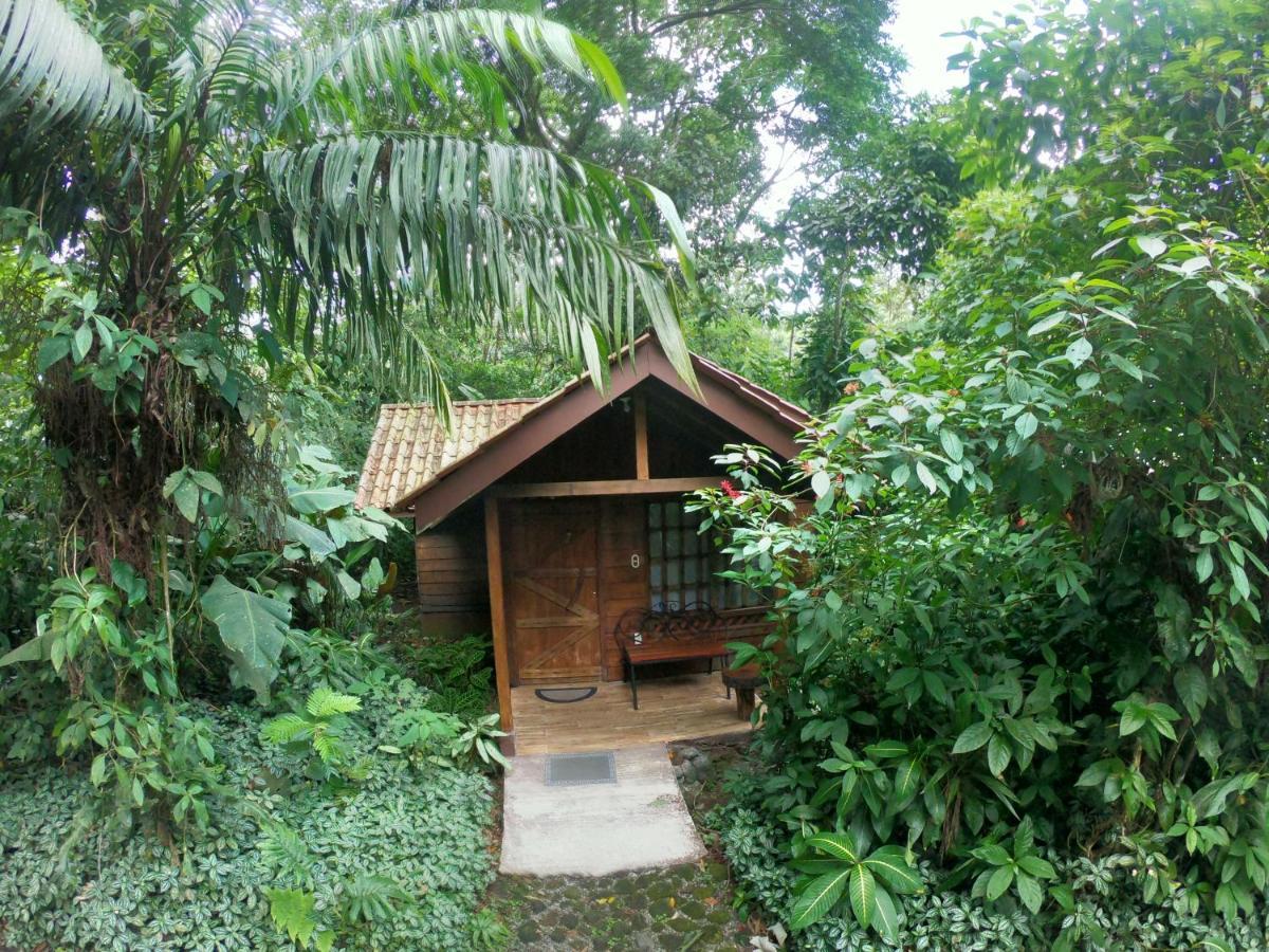 Arenal Oasis Eco Lodge & Wildlife Refuge ラ・フォルトゥナ エクステリア 写真