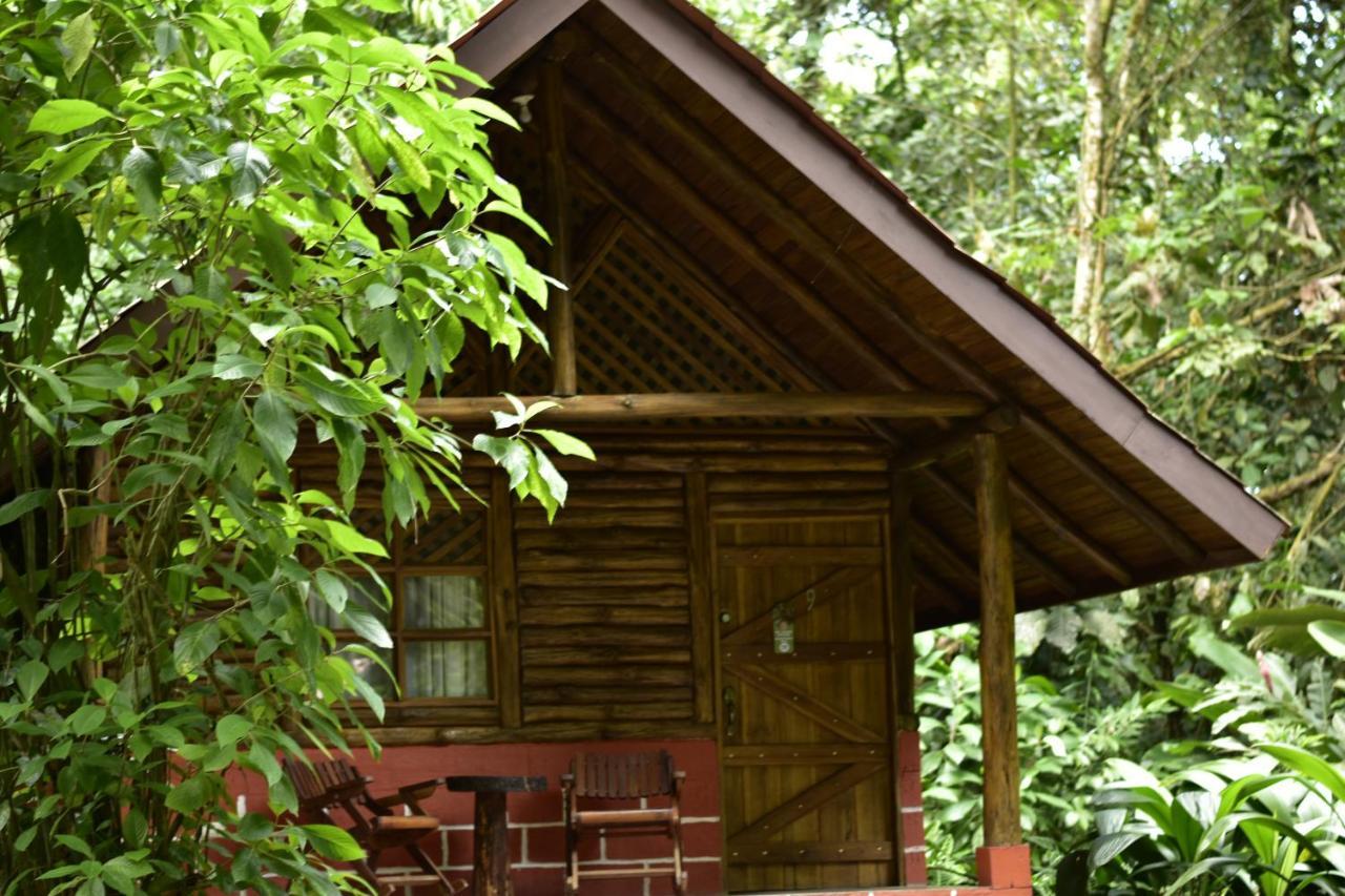 Arenal Oasis Eco Lodge & Wildlife Refuge ラ・フォルトゥナ エクステリア 写真