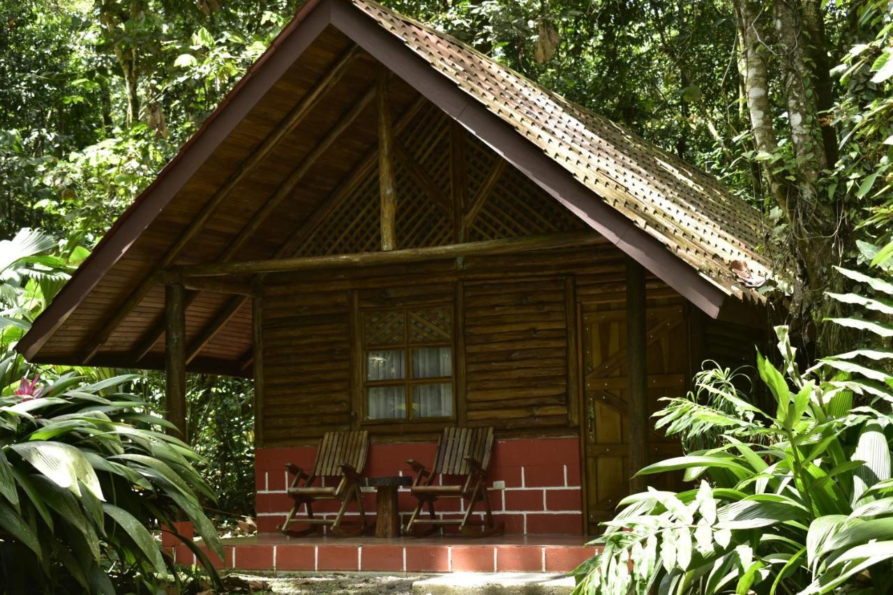 Arenal Oasis Eco Lodge & Wildlife Refuge ラ・フォルトゥナ エクステリア 写真