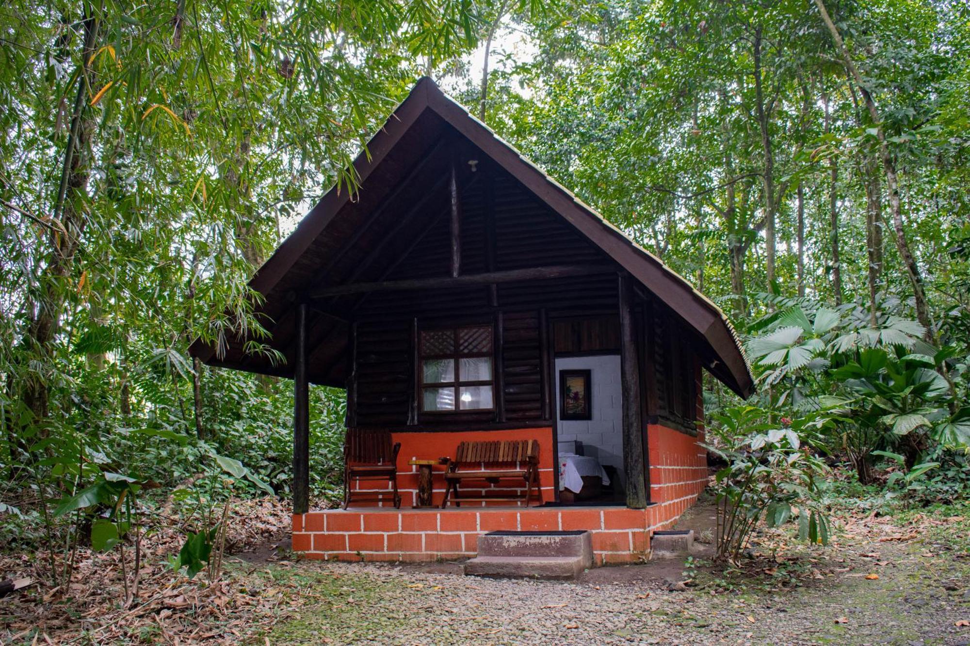 Arenal Oasis Eco Lodge & Wildlife Refuge ラ・フォルトゥナ エクステリア 写真
