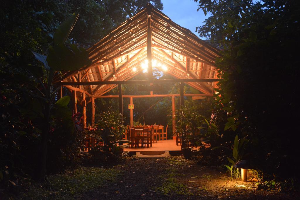 Arenal Oasis Eco Lodge & Wildlife Refuge ラ・フォルトゥナ エクステリア 写真