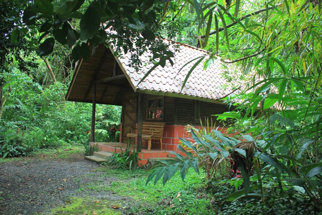 Arenal Oasis Eco Lodge & Wildlife Refuge ラ・フォルトゥナ 部屋 写真