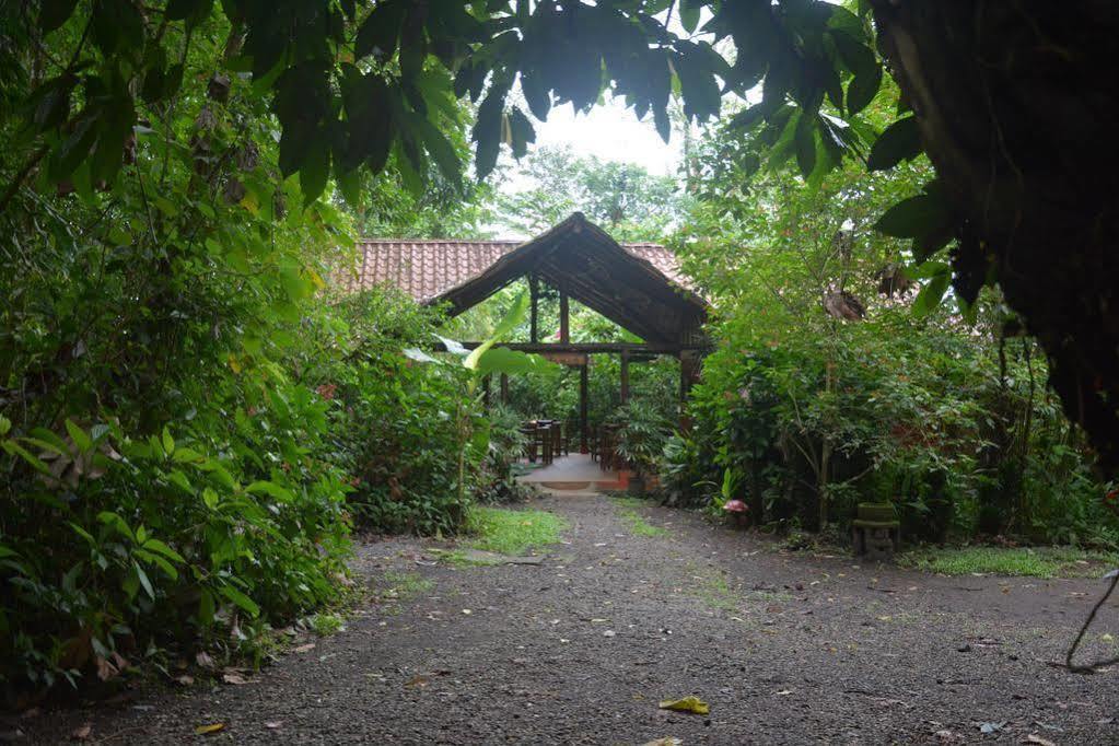 Arenal Oasis Eco Lodge & Wildlife Refuge ラ・フォルトゥナ エクステリア 写真